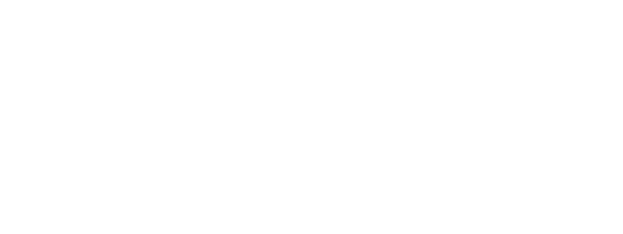 Avada Car Dealer Logo